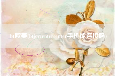 bt欧美(btjoycentercenter手机能连接吗)