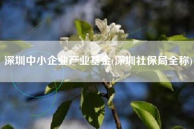 深圳中小企业产业基金(深圳社保局全称)