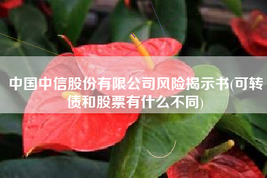 中国中信股份有限公司风险揭示书(可转债和股票有什么不同)