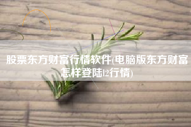 股票东方财富行情软件(电脑版东方财富怎样登陆l2行情)