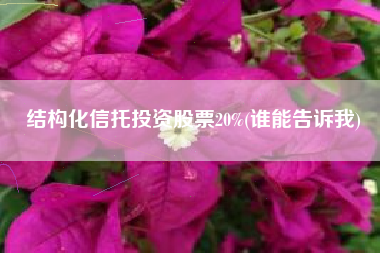 结构化信托投资股票20%(谁能告诉我)