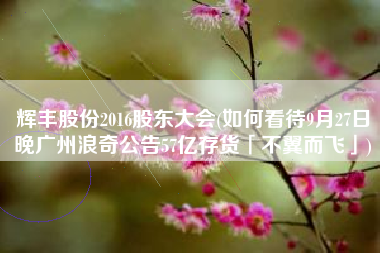 辉丰股份2016股东大会(如何看待9月27日晚广州浪奇公告57亿存货「不翼而飞」)
