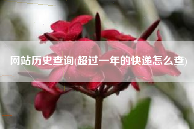 网站历史查询(超过一年的快递怎么查)