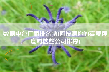 数据中台厂商排名(如何按照你的喜爱程度对这些公司排序)