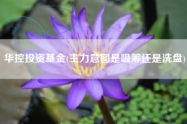 华控投资基金(主力意图是吸筹还是洗盘)