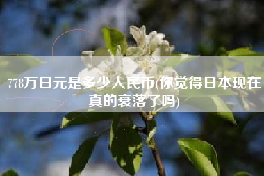 778万日元是多少人民币(你觉得日本现在真的衰落了吗)