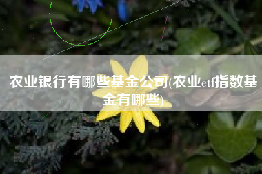 农业银行有哪些基金公司(农业etf指数基金有哪些)