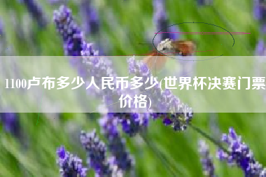 1100卢布多少人民币多少(世界杯决赛门票价格)