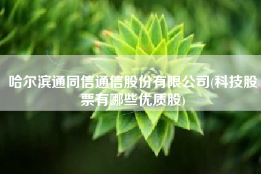 哈尔滨通同信通信股份有限公司(科技股票有哪些优质股)