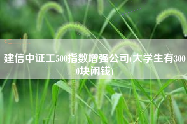 建信中证工500指数增强公司(大学生有3000块闲钱)