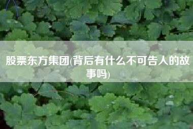 股票东方集团(背后有什么不可告人的故事吗)