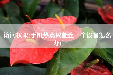 详细阅读:访问权限(手机热点只能连一个设备怎么办) 访问权限(手机热点只能连一个设备怎么办)