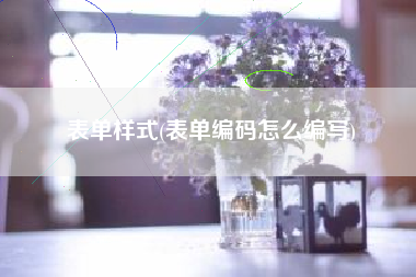 表单样式(表单编码怎么编写)
