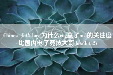 Chinese GAY boy(为什么rng赢了msi的关注度比国内电子竞技大哥dotadota2)