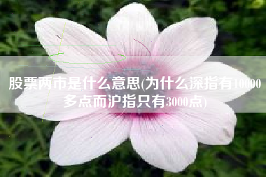 股票两市是什么意思(为什么深指有10000多点而沪指只有3000点)