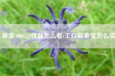 基金 000528收益怎么看(工行薪金宝怎么买)