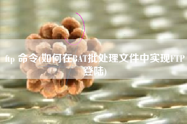 ftp 命令(如何在BAT批处理文件中实现FTP登陆)