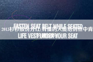 2013杉杉股份分红(有懂的人能给到些中肯的建议吗)