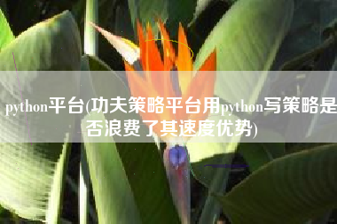 python平台(功夫策略平台用python写策略是否浪费了其速度优势)
