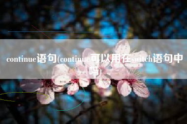 continue语句(continue可以用在switch语句中吗)