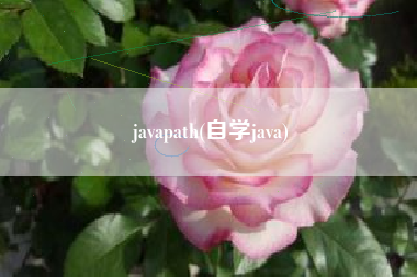javapath(自学java)