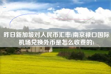 昨日新加坡对人民币汇率(南京禄口国际机场兑换外币是怎么收费的)