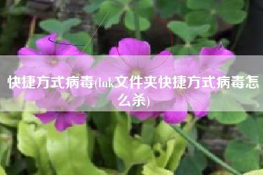 快捷方式病毒(lnk文件夹快捷方式病毒怎么杀)