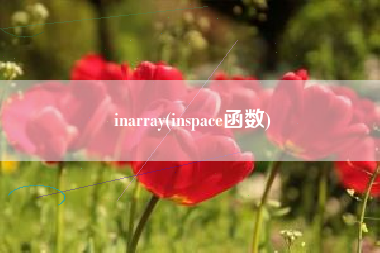 inarray(inspace函数)