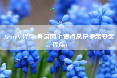 ActiveX 控件(登录网上银行总是提示安装控件)