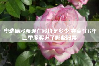 奥瑞德股票现在股价是多少(券商在17年二季度买进了哪些股票)