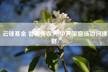 云锋基金 管理费收入(中产家庭该如何理财)