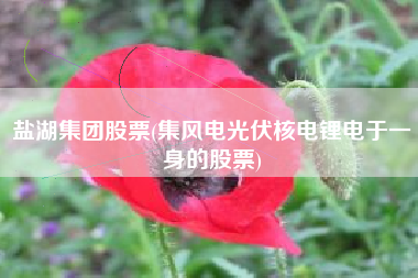 盐湖集团股票(集风电光伏核电锂电于一身的股票)
