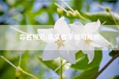 命名规范(英文名字缩写规则)