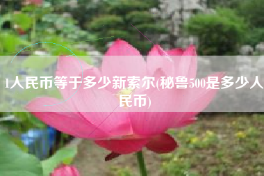 1人民币等于多少新索尔(秘鲁500是多少人民币)