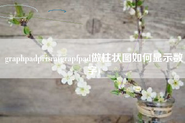 graphpadprism(grapfpad做柱状图如何显示数字)