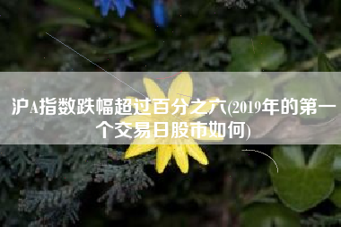 沪A指数跌幅超过百分之六(2019年的第一个交易日股市如何)