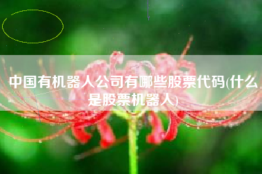 中国有机器人公司有哪些股票代码(什么是股票机器人)