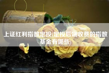 上证红利指数定投(定投后端收费的指数基金有哪些)