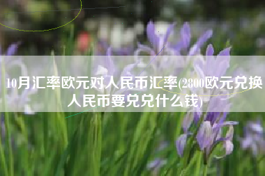 10月汇率欧元对人民币汇率(2800欧元兑换人民币要兑兑什么钱)