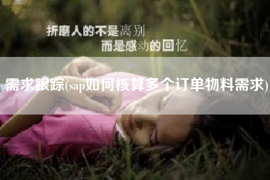 需求跟踪(sap如何核算多个订单物料需求)