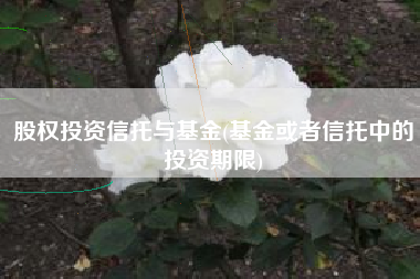 股权投资信托与基金(基金或者信托中的投资期限)