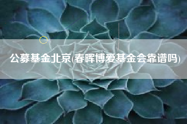 公募基金北京(春晖博爱基金会靠谱吗)