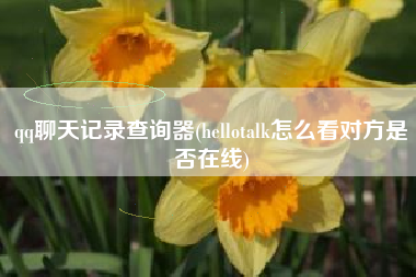 qq聊天记录查询器(hellotalk怎么看对方是否在线)