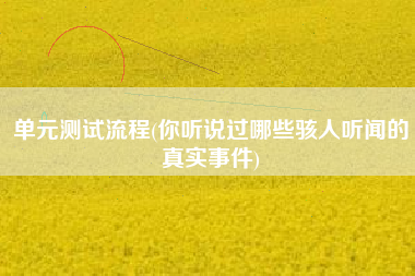 单元测试流程(你听说过哪些骇人听闻的真实事件)