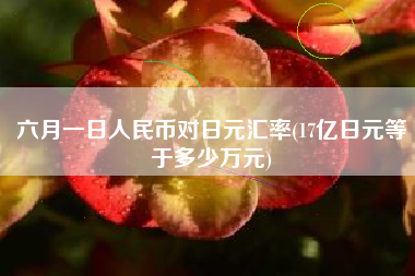 六月一日人民币对日元汇率(17亿日元等于多少万元)