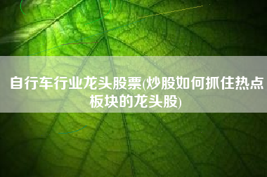 自行车行业龙头股票(炒股如何抓住热点板块的龙头股)