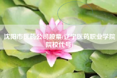 沈阳市医药公司股票(辽宁医药职业学院院校代号)