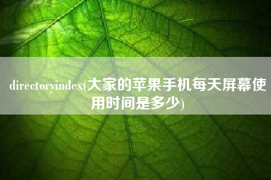 directoryindex(大家的苹果手机每天屏幕使用时间是多少)