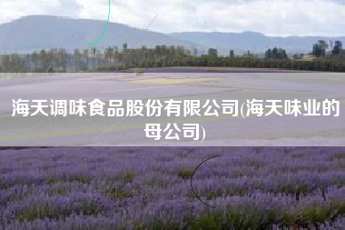 海天调味食品股份有限公司(海天味业的母公司)