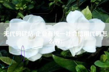 无代码建站(企业有统一社会信用代码怎么弄)